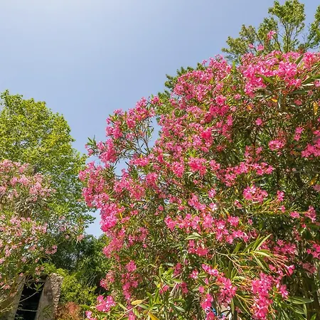 Apartmanhotel Bellevue