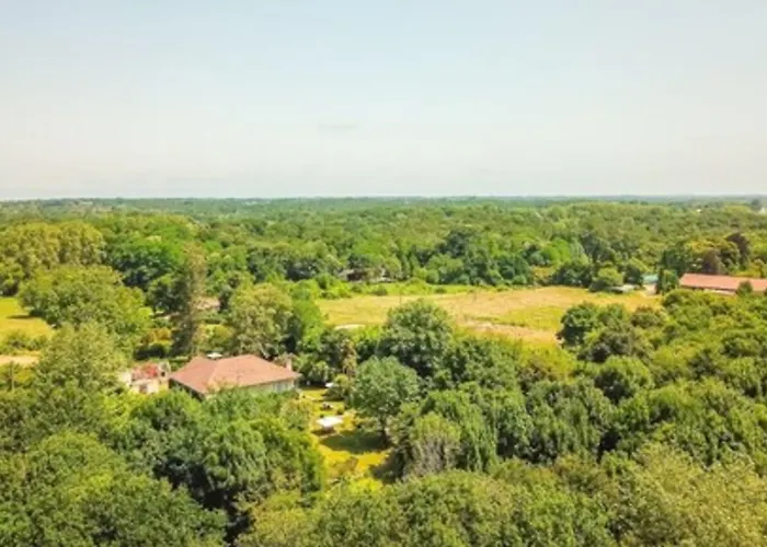 Bellevue מלון דירות 2*